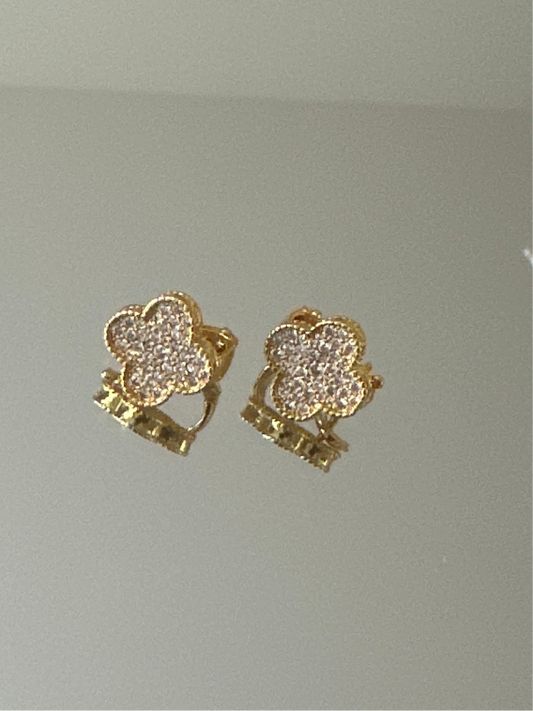 Gold Earrings with stone
