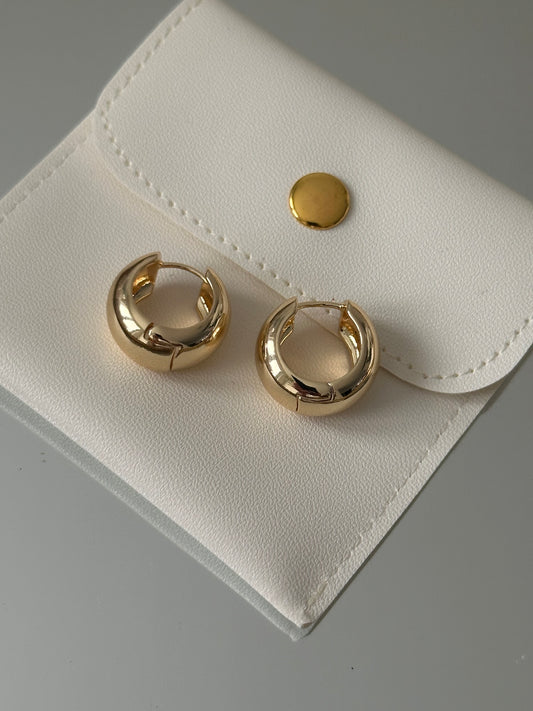 Gold Hoops Earrings