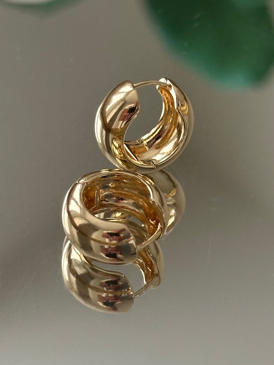 Gold Hoops Earrings